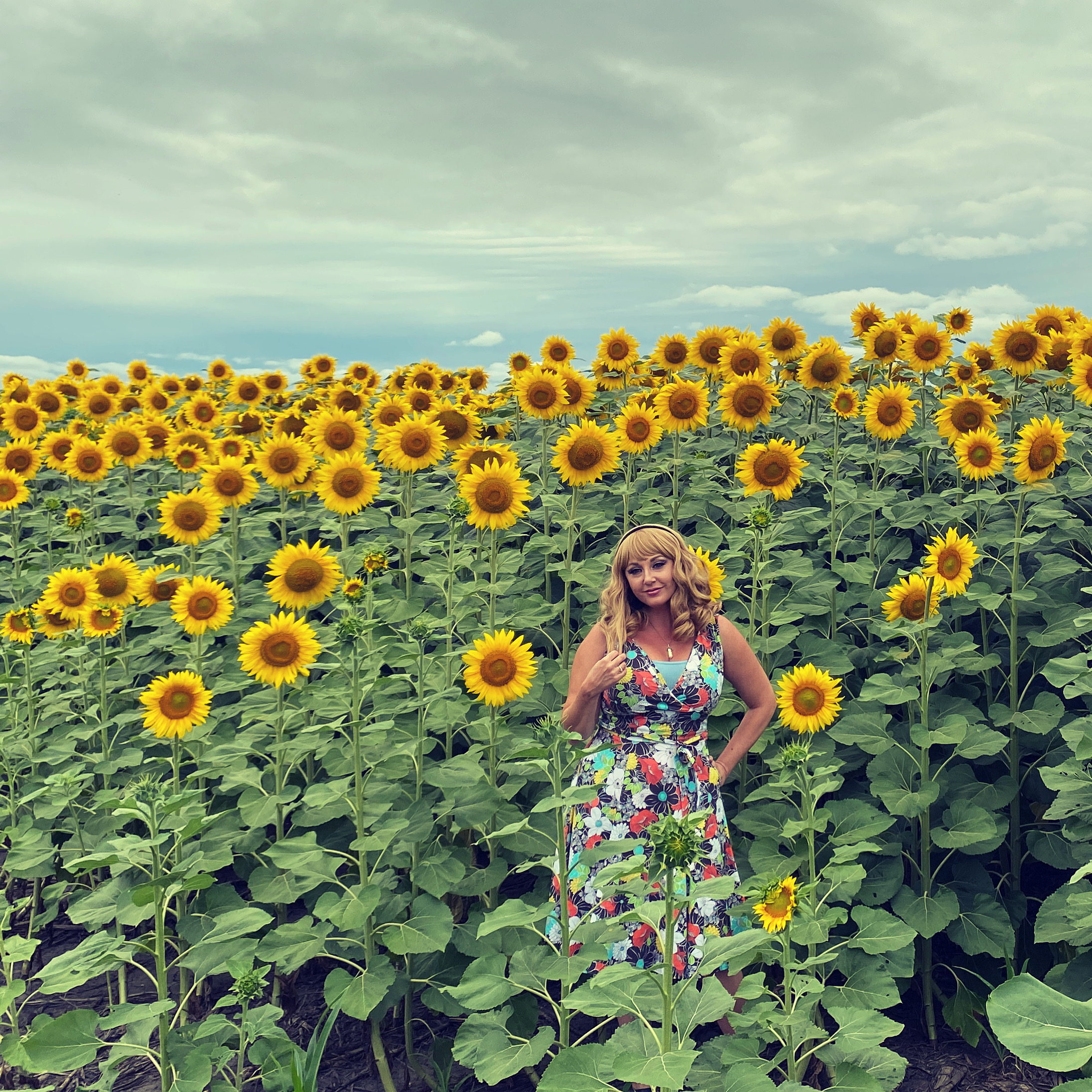 Kate sunflower