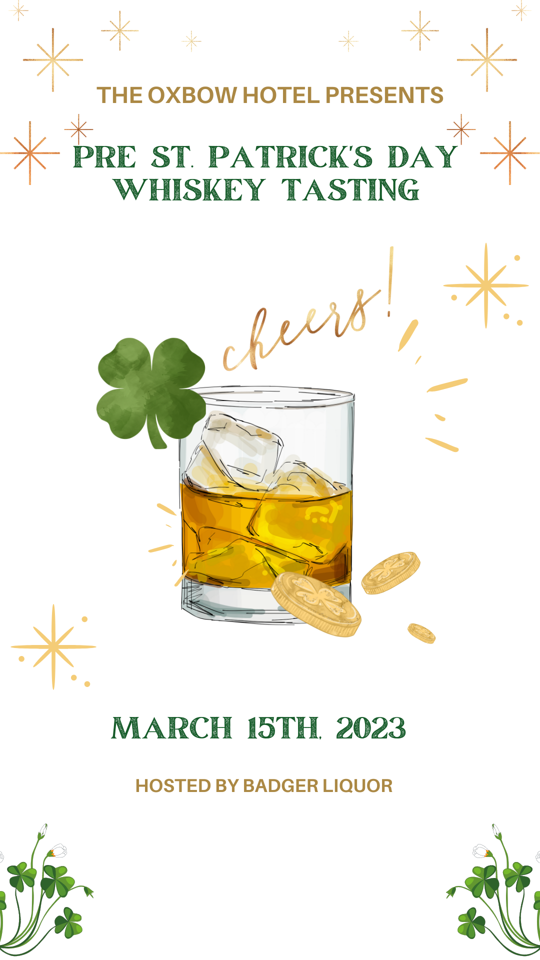 St Patrick’s Day Festival Drink Party Instagram Story